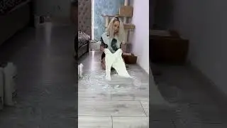 Slime Gigantic