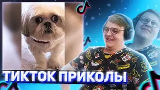 ПЯТЁРКА СЛОВИЛ РЖОМБУ смотря ТИК ТОК ПРИКОЛЫ [пятерка/фуга тв нарезка]