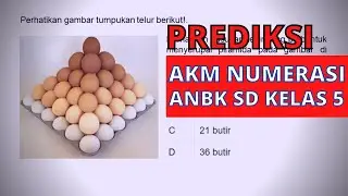 Prediksi Soal ANBK SD 2021 I AKM Numerasi Kelas 5 SD : AKM SD Materi Pola BIlangan