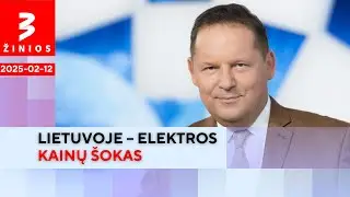 Rinkėjų antausis Palucko vyriausybei: pasiilgo Šimonytės / TV3 Žinios