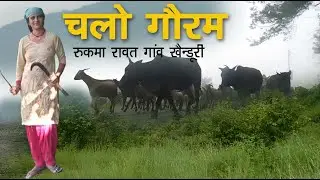 चल रुकमा गौरम villager rukma village kaindudi yamkeshwer