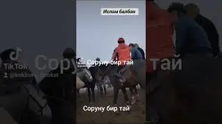 Ислам балбан #казакыстан #кокбору #рек