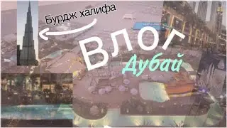 Влог Дубай | Sofia Wolf