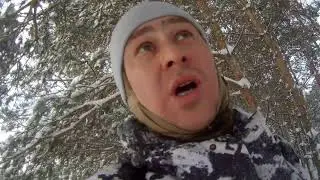 Охота на зайца Беляка в Лесу. 04.01.2024г.