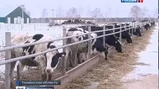 Вести недели с Дмитрием Киселевым на телеканале РОССИЯ 1 (23.11.2014)