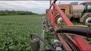 Spraying soybeans... again
