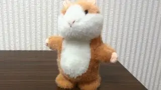 Говорящий хомяк 2. Talking hamster 2.