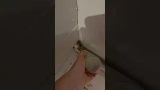 На то он и Фёдор 😂 #животные #собака #немецкаяовчарка #топ #котик #крыса