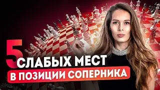 Шахматы! Топ 5 