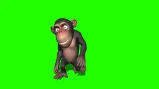 monkey cool walk in green screen
