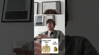 Шевцов #shorts #tiktok #memes