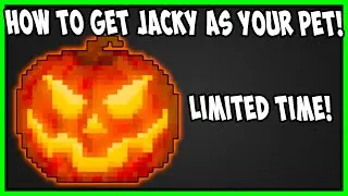 How To Get Jacky O Lanty As Pet In Dank Memer Limited Time