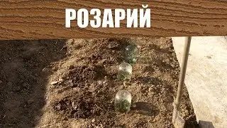Розарий