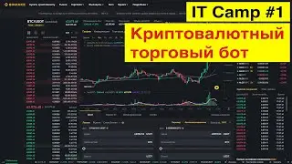 IT-camp #1: Знакомлю команду джуниоров с проектом облачного криптоторгового бота для Binance API