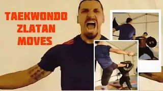 Zlatan's Taekwondo moves