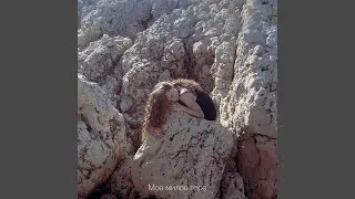 Моё милое горе
