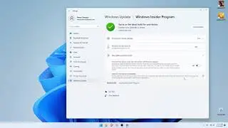 cara berhenti dari Windows Insider Program