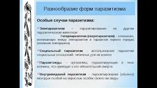 Кто такие люди и человеки???
