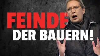 💥HARTER Vorwurf: AfD ist GEGEN SUBVENTIONEN für Bauern