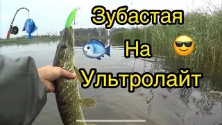 Зубастая на Ультролайт!