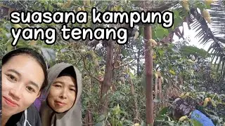 suasana di kampung halaman