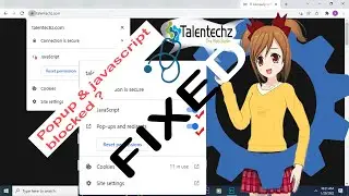 How to allow JavaScript and a popup in the web browser