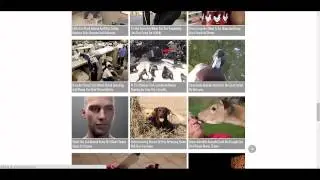 How To Create a Viral Website (Over my Shoulder)