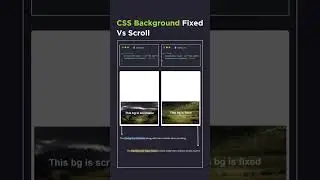 🚀 CSS Background: Fixed vs Scroll Explained! 🌟 HTML, JS, CSS3 Tips 🎨||