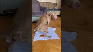 Она не могла больше терпеть  