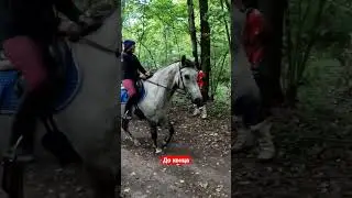 смотреть до конца 