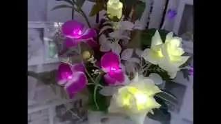 Светящиеся цветы . FeoFLOWERS .