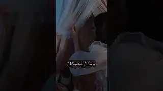 Vampire ASMR Highlights