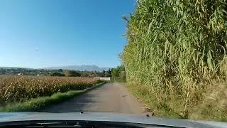 Salida de la Dehesa de Tarazona