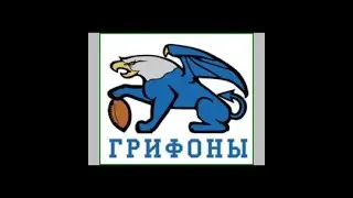Сергей Миронов  Клуб  грифоны