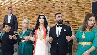 Hozan Tacettin - 2020