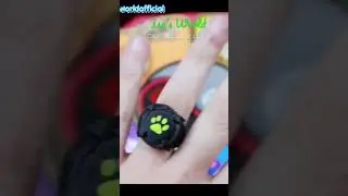 Cat Noir Ring made by me 