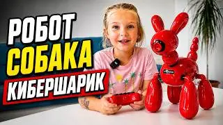 Кибершарик робот-собака. Что он умеет?