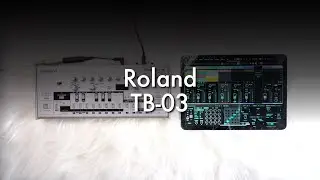 Roland TB-03 & Ableton Telequencer