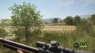 The hanter  call of the wild:саванна вурхонга;прохождение заданий