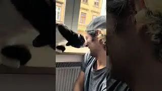 Кот моет хозяина