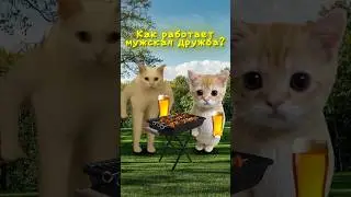 How does male friendship work?