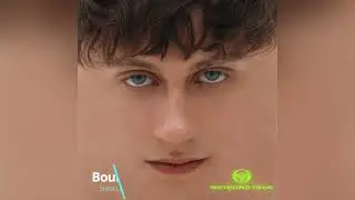 Boulevard Depo - Сертоловский Токсик (Альбом 2023)