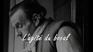 Redécouvrir  -  L'agité du bocal  -  Louis-Ferdinand CÉLINE
