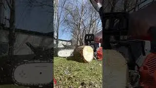 #gardening