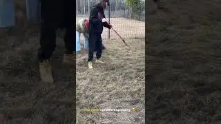 😅 ЭДИСОН И ЕГО RAБЫ - СТОРИС ЭДИСОН МАЙНКРАФТ @EdisonPts #edison #edisonpts #эдисон