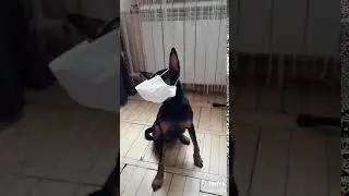 Суровая реальность 2020 - LP ACADEMY HUMOR