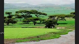 Ethiopian Classical የክላሲካል ሙዚቃ ቁ. 1