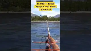 Бывает и такое на турнире🤣Самое интересное в конце👀 Русская рыбалка 4 
