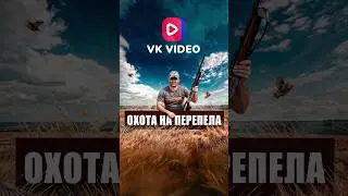 ОХОТА НА ПЕРЕПЕЛА | ПОДПИСЫВАЙТЕСЬ НА ВК #охотарыбалка #охота #перепел #hunting