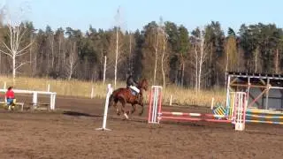 Aleko 1999